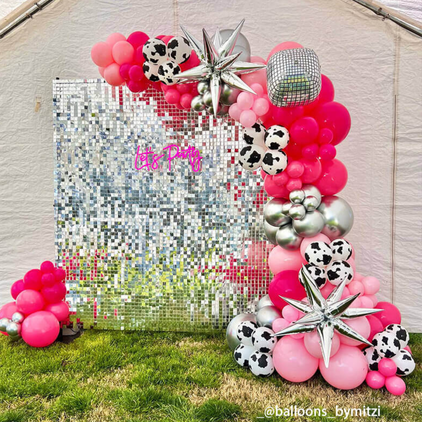 Local Rental Photo Backdrop Elegant Walls - 24Panels Only